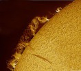 /album/soleil/mosaique-7-octobre-2013-colorisee-jpg/